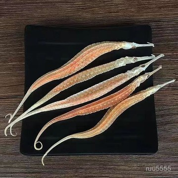 【限時下殺】黃金海龍幹貨三角海龍幹貨正宗養生煲湯泡酒料材