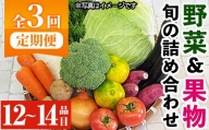 y361 《定期便・全３回》野菜と果物旬の詰め合わせ(12～14品目)