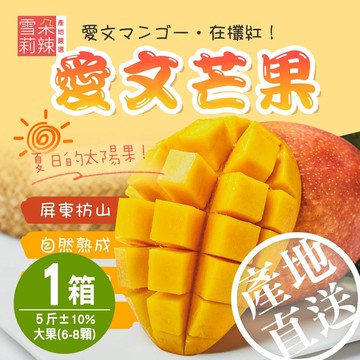 【雪莉朵辣嚴選】屏東枋山愛文芒果-五斤大果x1盒