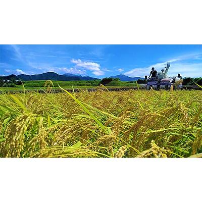 ふるさと納税 魚沼市 生産者直送!魚沼産コシヒカリ雪里米(ふるさとまい)精米3kg全6回