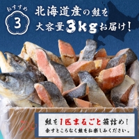 北海道産 新巻鮭 切り身 3kg 塩鮭 冷凍 鮭 しゃけ おかず お弁当 魚 海鮮 〈斉藤水産〉