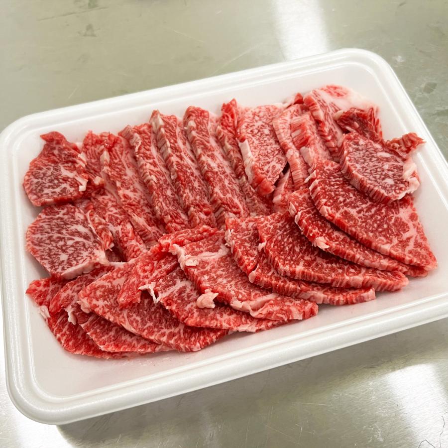 佐賀牛 おまかせ焼肉セット3種盛り 600g(200g×3パック) 3〜5名様用 カルビ・モモ・ウデ・ロースなど 送料無料