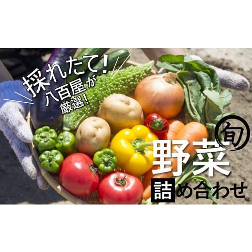 ふるさと納税 愛知県 碧南市 目利きのプロ 八百屋厳選 野菜詰め合わせセット（8〜10種類お届け）　H151-010