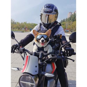 寵物眼鏡泰迪狗太陽眼鏡防曬遮陽墨鏡中大型犬防風透明護目鏡柯基