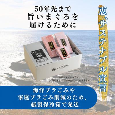 ふるさと納税 三浦市 三崎まぐろ　赤身切り落とし　合計1kgセット