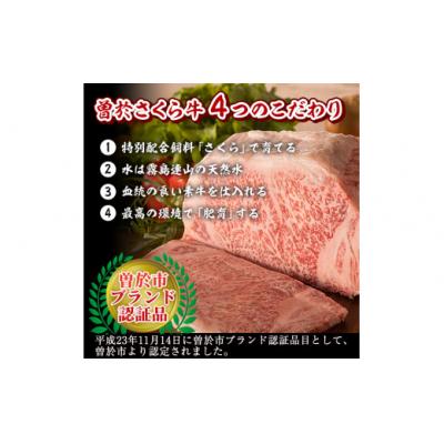 ふるさと納税 曽於市 曽於さくら牛ももスライス600g