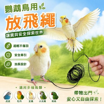 省錢鋪寵物】 鸚鵡鳥用放飛繩牽引延長繩虎皮牡丹玄鳳小太陽和尚遛鳥繩 出貨 鸚鵡站台 鸚鵡腳環 鸚鵡站架 鸚鵡放飛繩