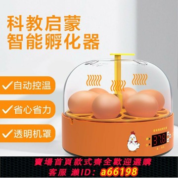 【台灣公司 可開發票】【3326人好評】迷你孵蛋器4-6枚雞蛋孵化器小型家用全自動兒童智能小雞孵化機