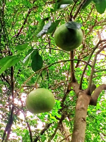 永慶况先生~伯夫人下疊一二樓+坡道平面大車位｜新北市汐止區伯爵街