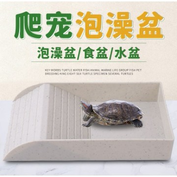 【台灣現貨】爬蟲泡澡盆 寵物泡澡盆 爬蟲水盆 陸龜水盆 食盆 守宮 角蛙 蜥蜴 烏龜 兩棲 爬蟲 陸龜水盆 蜥蜴食盆