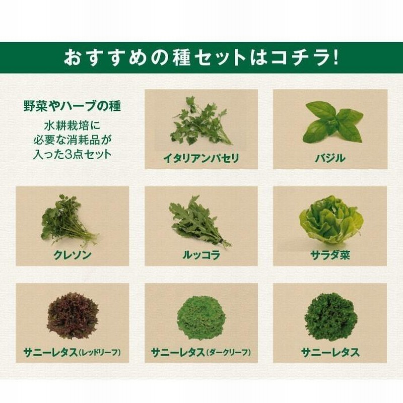 日本全国 送料無料クレソン(ハーブ) 種・小袋 (0.2ml) ハーブ 野菜の種 実咲ハーブ8073 クレソンハーブ サカタのタネ