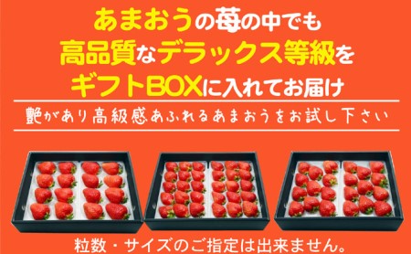 あまおう DX等級以上 約300g×2パック ※配送不可：北海道・東北・沖縄・離島