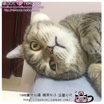 貓次元【來圖定制】專業商業cosplay服裝道具鞋子批量定制