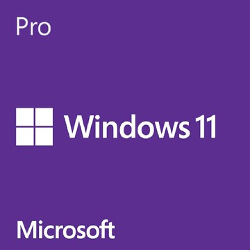 【Microsoft 微軟】Windows 11 Pro 專業中文 64位元隨機版【三井3C】