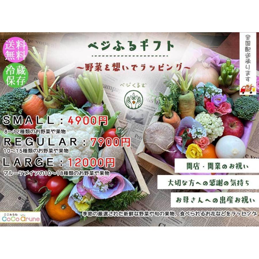 ベジふるギフト〜季節の野菜＆果物　開店祝い　贈り物　内祝い　旬の野菜　旬の果物