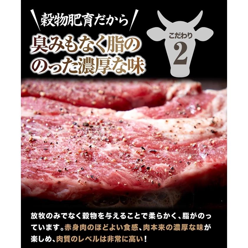 送料無料 超特大!!通常のステーキ3枚分!!牛肩ロース熟成肉1ポンドステーキ(450g）