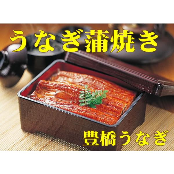 うなぎ 蒲焼き 鰻 国産 うなぎ蒲焼き １尾　ギフトセット