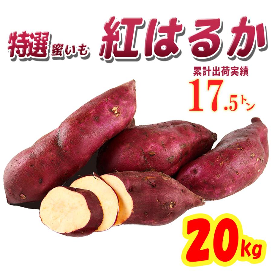 ITANSE さつまいも 紅はるか 茨城県産 20kg 2023秋 新芋土つき べにはるか 薩摩芋 蜜芋 送料無料 イタンセ公式