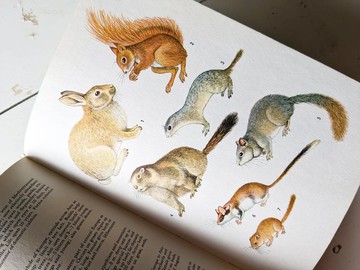 植物與動物界百科圖鑑