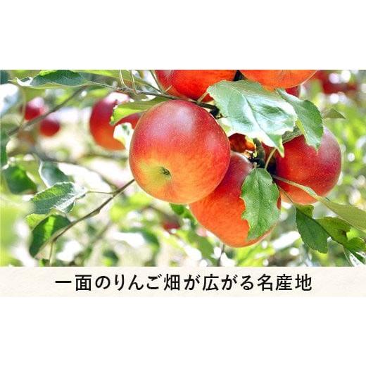 ふるさと納税 長野県 飯綱町 りんご サンふじ 家庭用 3kg 大友農場 エコファーマー認定 沖縄県への配送不可 2023年12月中旬頃から2024年1月下旬頃まで順次発送…