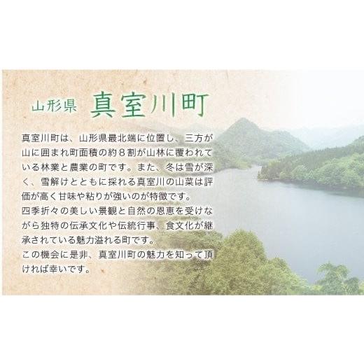 ＜配送時期が選べて便利な定期便＞  令和5年産 特別栽培米 つや姫  定期便 60?（10kg×1カ月間隔で6回お届け） ＜配送時期指定可＞ 山形県 真室川町