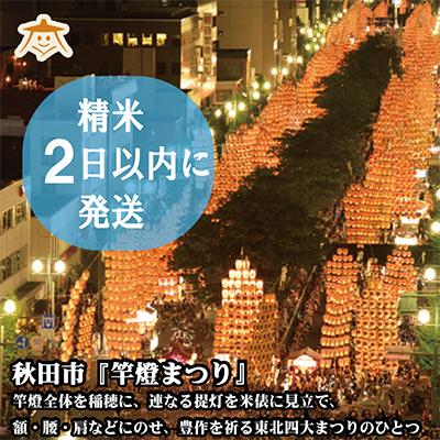 ふるさと納税 秋田市 秋田県産無洗米(ひとめぼれ15kg・大潟村ふると米5kg)セット 全6回