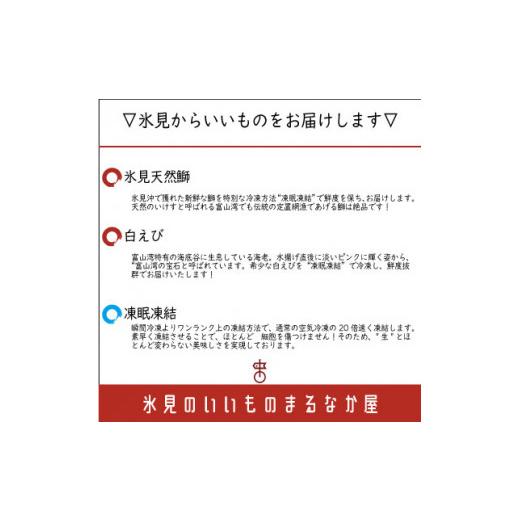 ふるさと納税 富山県 氷見市 鮮度そのまま！『ぶり、白えび』生冷凍セット