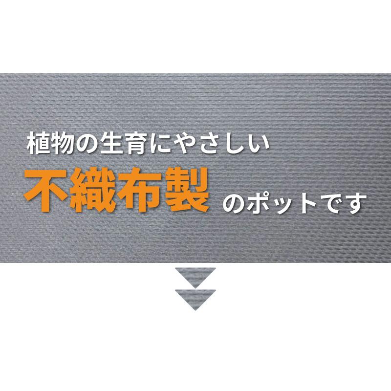 30枚 ルートラップ ポット 10A 20号 直径 35cm × 高さ 35cm 容量 25L 不織布 ポット ルートラップポット 根域制限 防根 遮根 透水 ハセガワ工業 代引不可