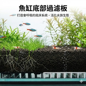 陸龜驛站｜水族用品 魚缸過濾 底濾板 底濾浪板 底部過濾 底抽 氣舉 空氣缸