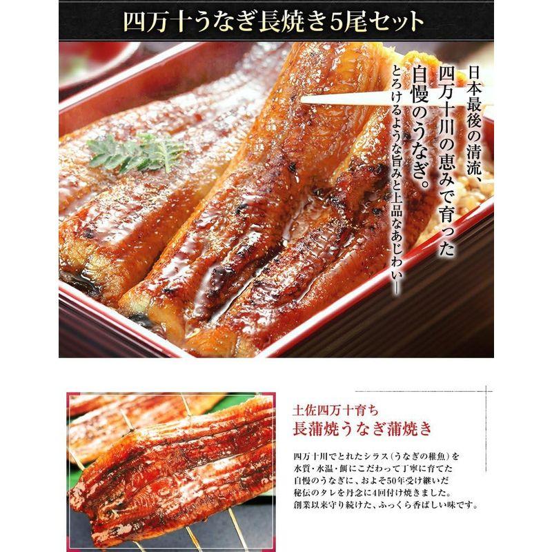 魚耕 四万十 うなぎ 国産 蒲焼き 110g×5尾 セット 敬老の日 プレゼント ギフト