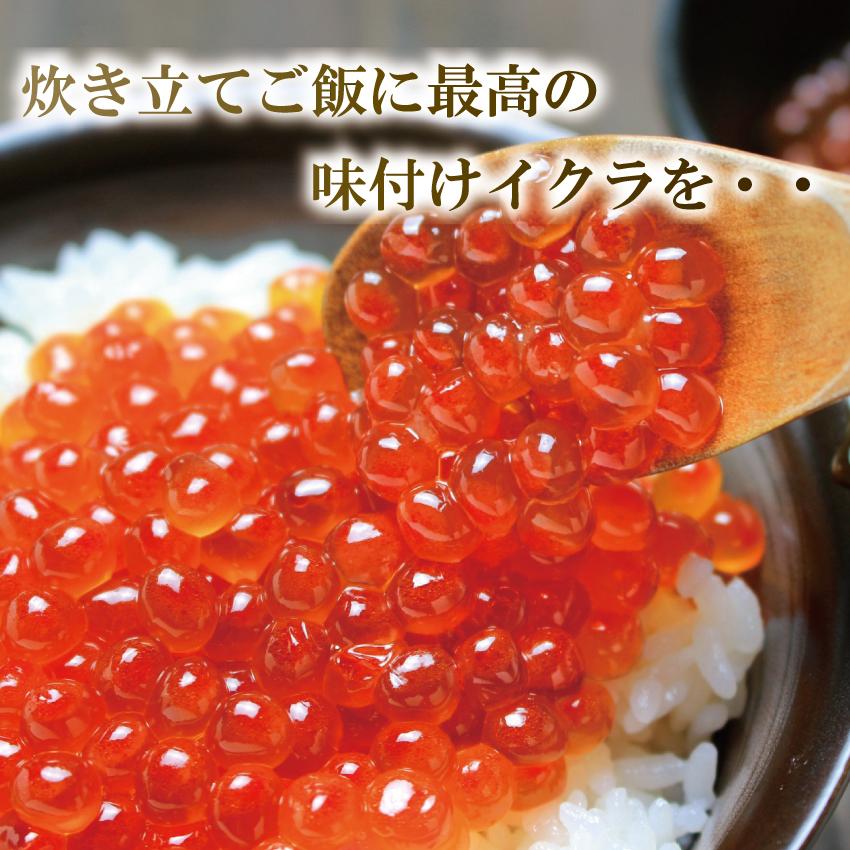 北海道産 味自慢 いくら醤油漬け 500g 海鮮ギフト 海産物 鮭 サーモン 贈り物 お祝い 成人式 ギフト 食べ物 プレゼント