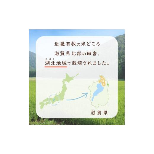 ふるさと納税 滋賀県 長浜市 令和5年 滋賀県湖北産 湖北のコシヒカリ 5kg(玄米)