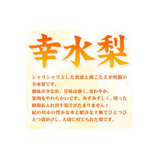 ふるさと納税 和歌山県 紀の川市 和歌山紀の川市産 の幸水梨 約4kg （約10玉〜15玉）紀の川市厳選館 《2024年7月下旬-8月中旬頃…