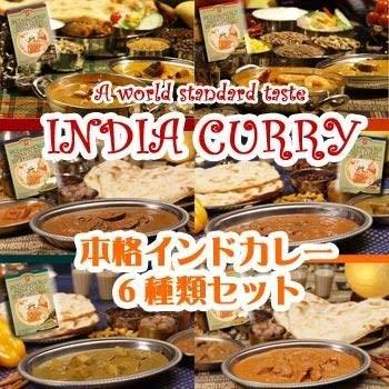 化学調味料不使用 本格 インド カレー 6種類12食 お試しセット (ご当地 レトルト カレー) （キャニオンスパイス）