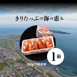 ふるさと納税 北海しまえび中　1箱（300ｇ17尾前後）_H0001-008 北海道浜中町