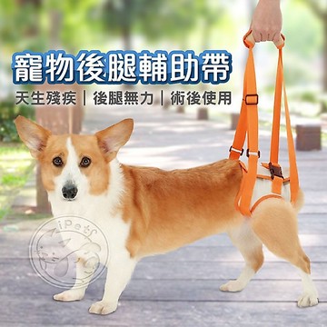 【汪喵派對】寵物後腿輔助帶 寵物上樓協助帶 後腿輔助 狗狗輔助帶 狗狗復健帶 術後可用