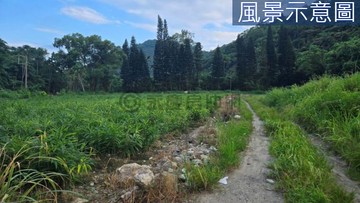 宏卿山莊旁地形方正都內農地14F256｜花蓮縣壽豐鄉潭北段