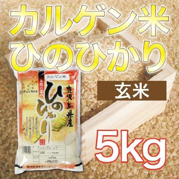 令和5年産 鹿児島県産湧水地区産 カルゲン米ヒノヒカリ 玄米 5kg 送料無料（一部地域を除く）