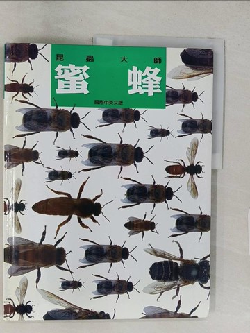 【書寶二手書T1／少年童書_YVP】昆蟲大師-蜜蜂_江敬皓