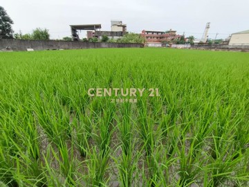 ②①詠樂推️蘇澳大面寬乙工建地｜宜蘭縣蘇澳鎮隘城段