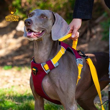 新款寵物胸背帶 防爆沖狗狗背心式狗背帶防掙脫 跨境熱賣寵物用品