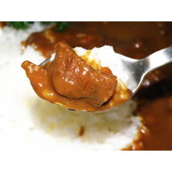 馬鹿ヤローカレー 馬肉と鹿肉の煮込みカレー メール便送料込み