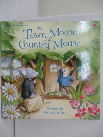 【書寶二手書T9／少年童書_TV8】Town Mouse and the Country Mouse_Susanna Davidson; Jacqueline East
