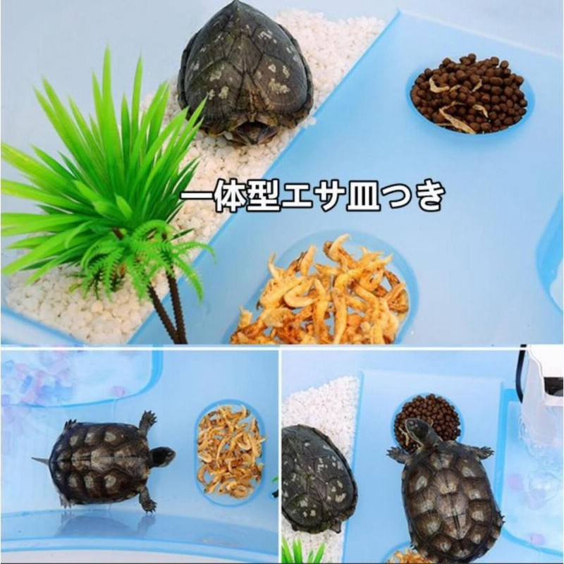 亀の水槽 大きい 両生類 カメの楽園 脱出防止 飼育ケース