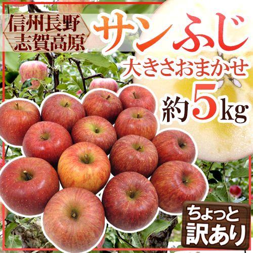 りんご 長野県 志賀高原産 ”サンふじ” 訳あり 約5kg 大きさおまかせ 送料無料