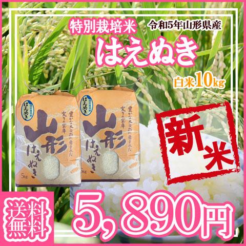 令和5年産 新米 送料無料 山形県産 特別栽培米 はえぬき 白米 5kg×2 十キロ お米 おこめ 白米 はくまい 10kg