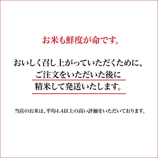 特別栽培米 白米10kg 農薬不使用（栽培期間中） 種子消毒不使用 福岡県産 令和5年産