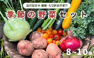 季節の野菜セット (8~10種)