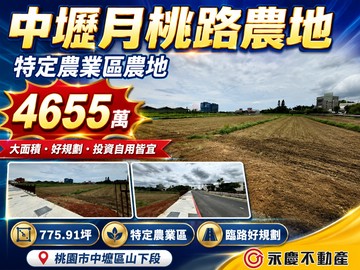 中壢月桃路大面寬臨路農地｜桃園市中壢區山下
