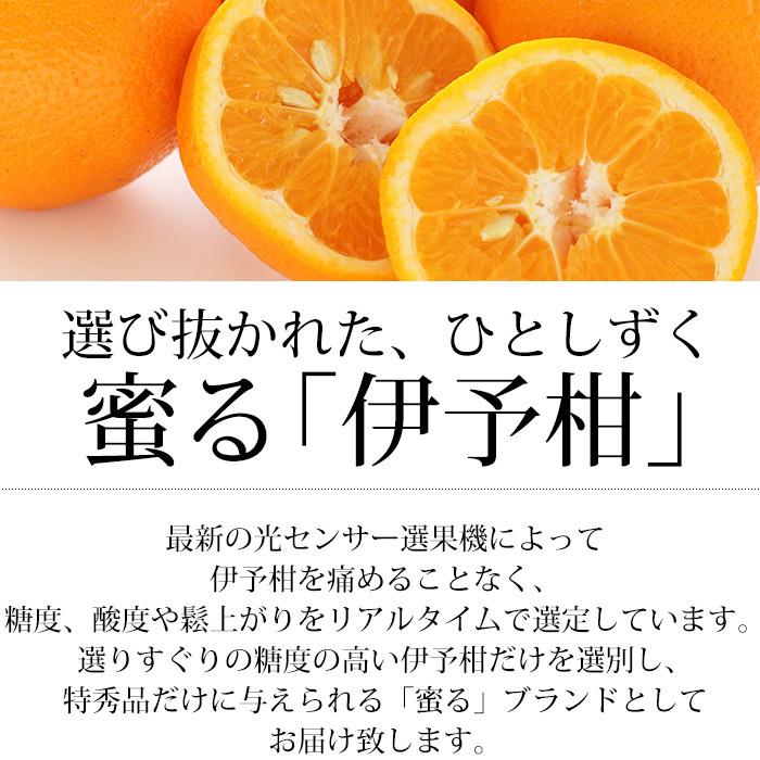 みかん 愛媛県産 伊予柑 蜜る 特秀品 約10kg 2L〜3Lサイズ 30〜36個